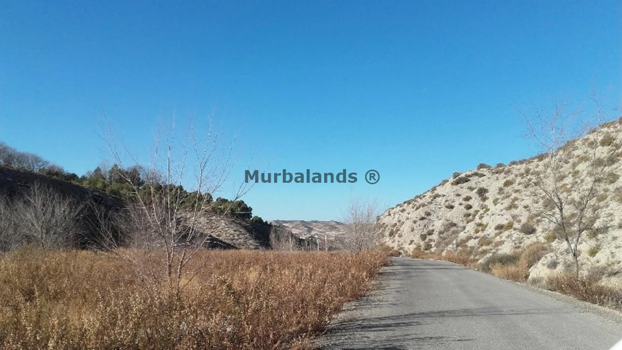Foto de un terreno o una obra parada para mostrar en el detalle del inmueble