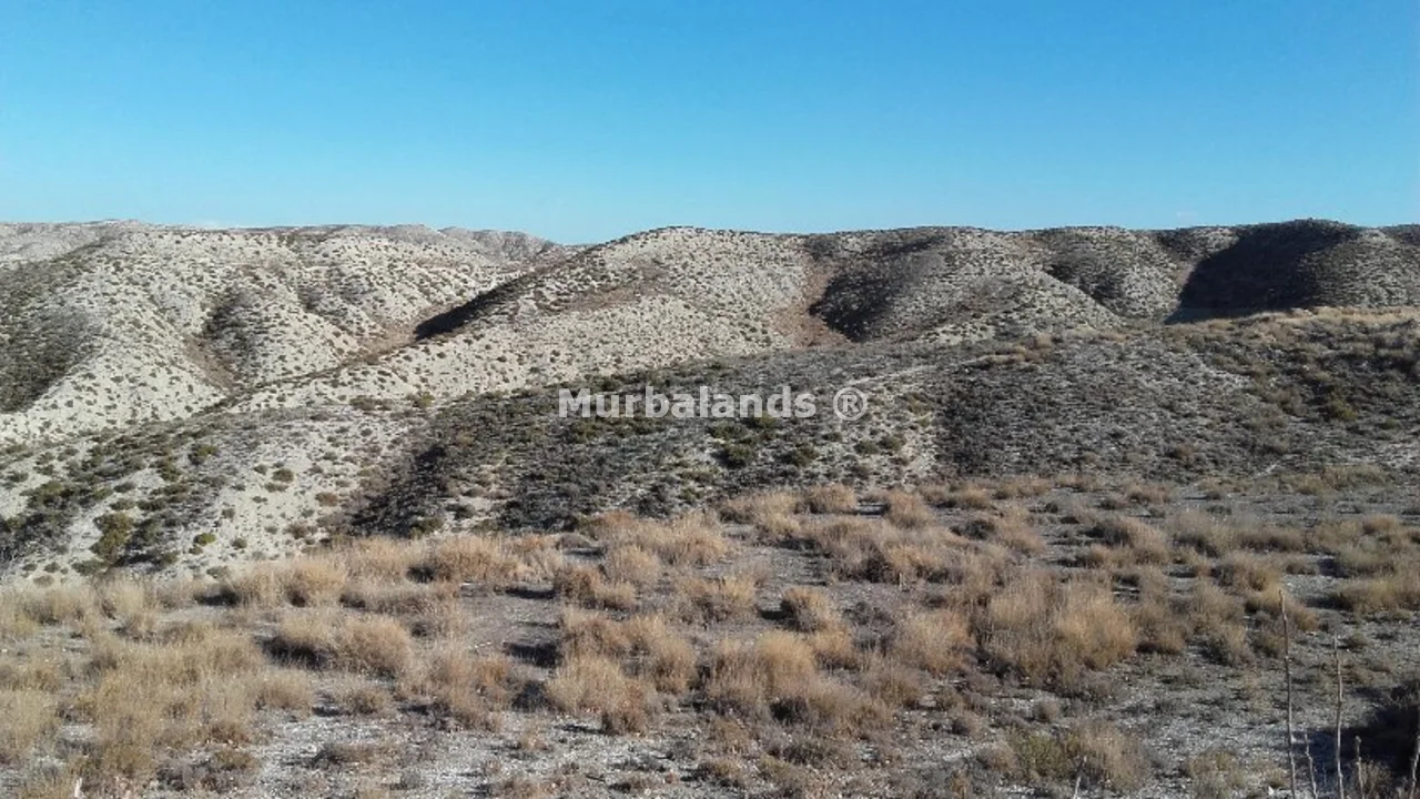 Foto de un terreno o una obra parada para mostrar en el detalle del inmueble