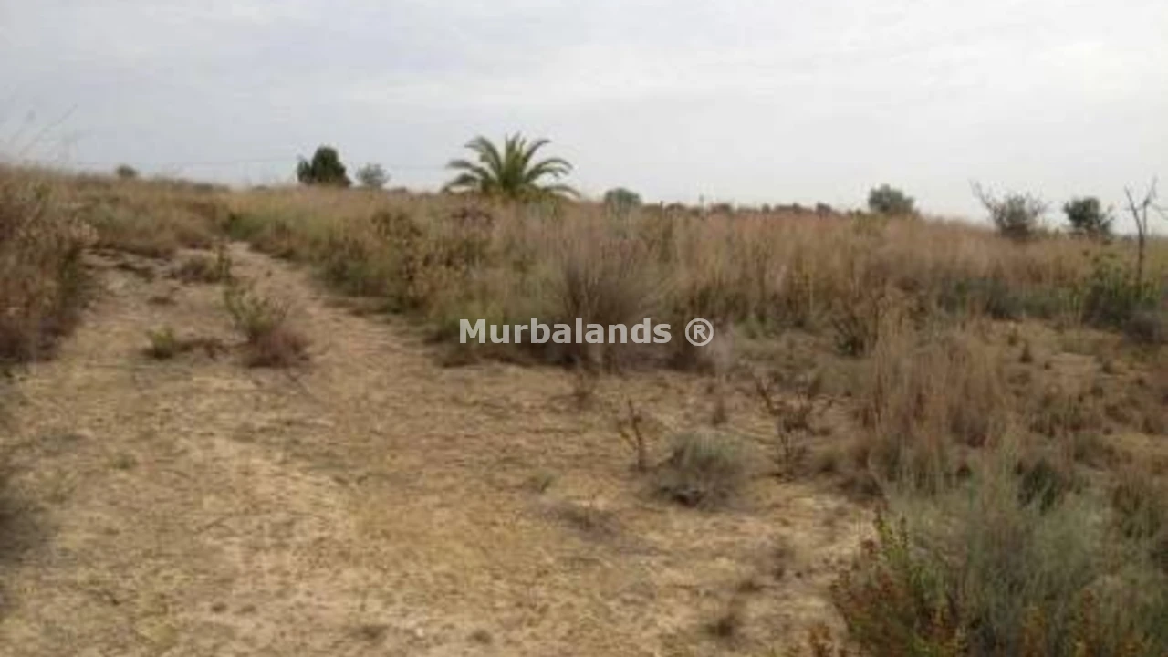 Foto de un terreno o una obra parada para mostrar en el detalle del inmueble