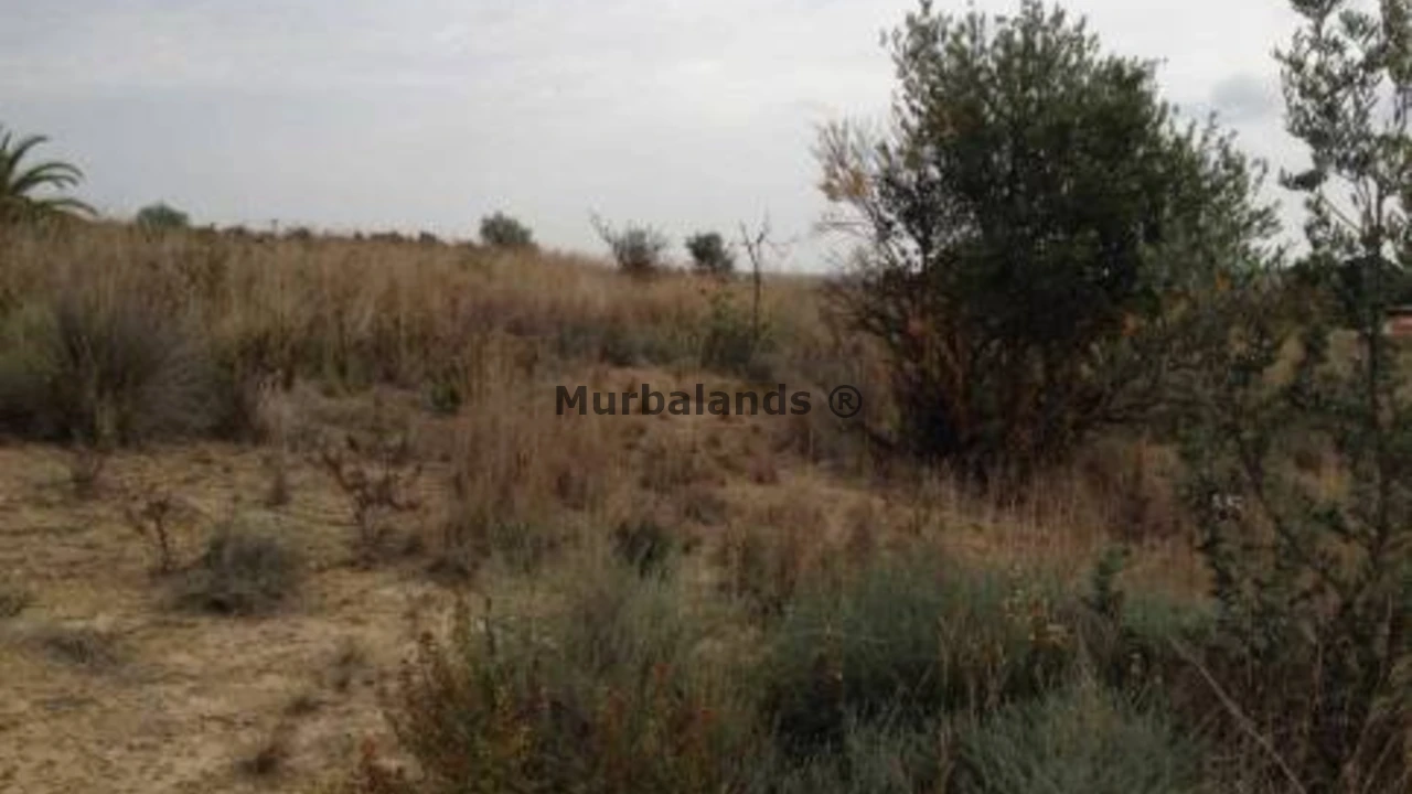 Foto de un terreno o una obra parada para mostrar en el detalle del inmueble