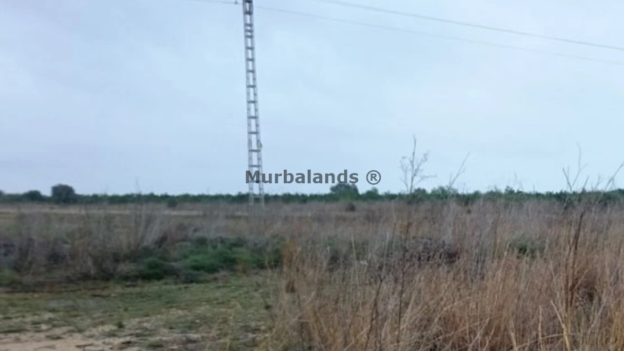 Foto de un terreno o una obra parada para mostrar en el detalle del inmueble