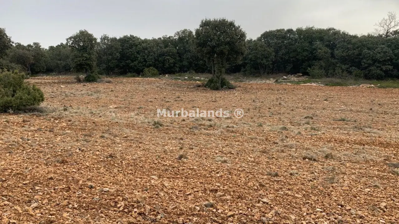 Foto del anuncio Ref. 00005218