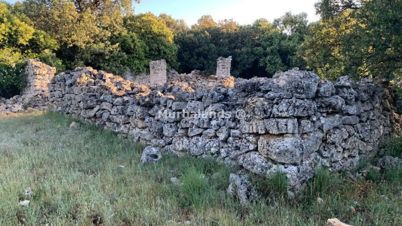 Foto del anuncio Ref. 00005218