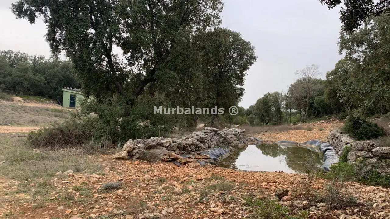 Foto del anuncio Ref. 00005218