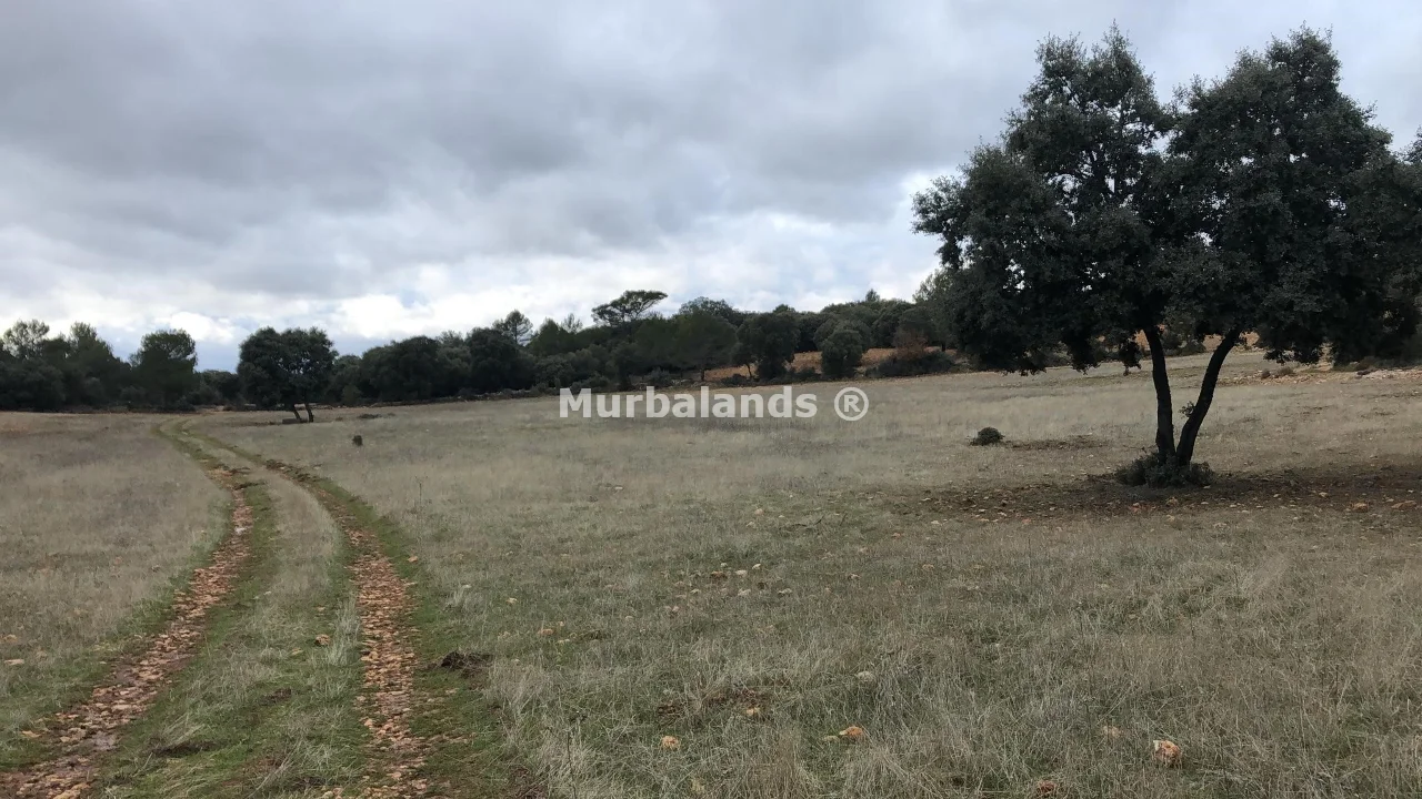 Foto del anuncio Ref. 00005218