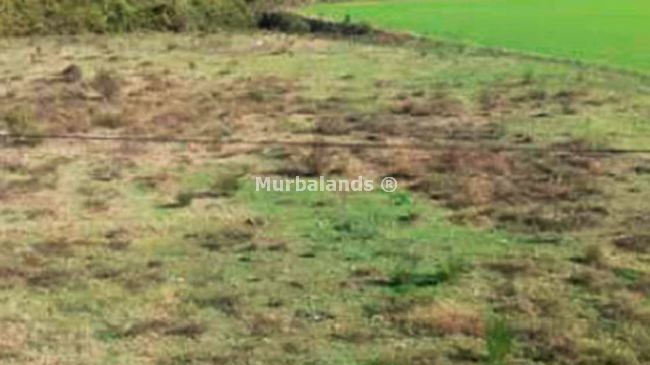 Foto de un terreno o una obra parada para mostrar en el detalle del inmueble