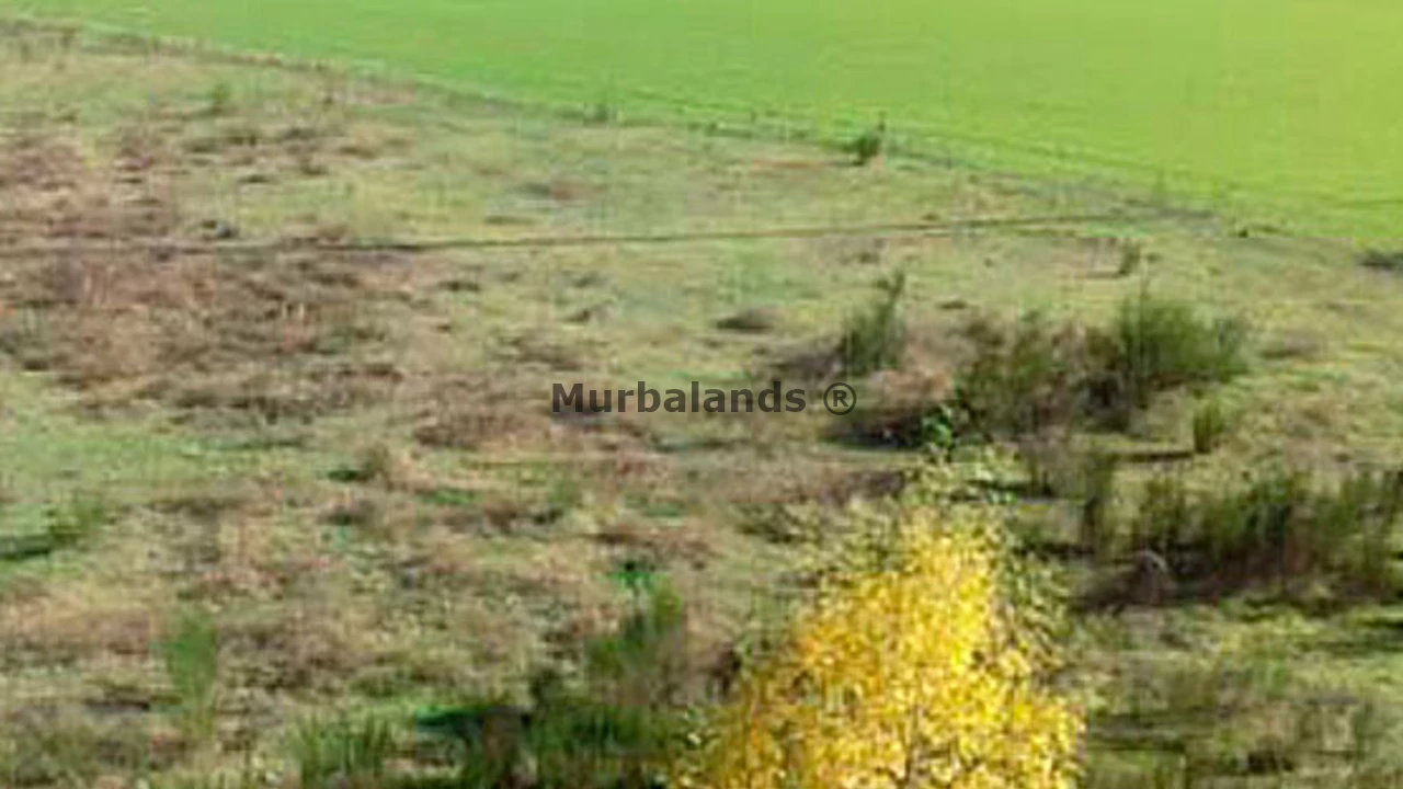 Foto de un terreno o una obra parada para mostrar en el detalle del inmueble