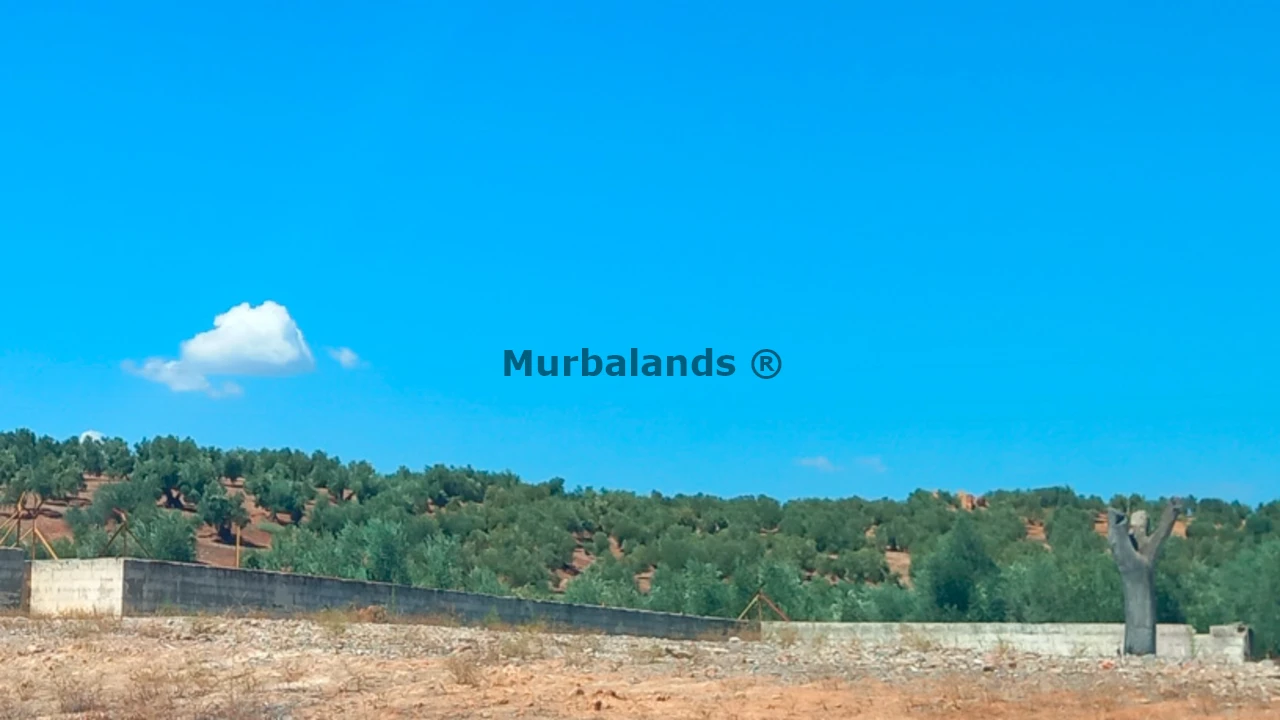 Foto de un terreno o una obra parada para mostrar en el detalle del inmueble