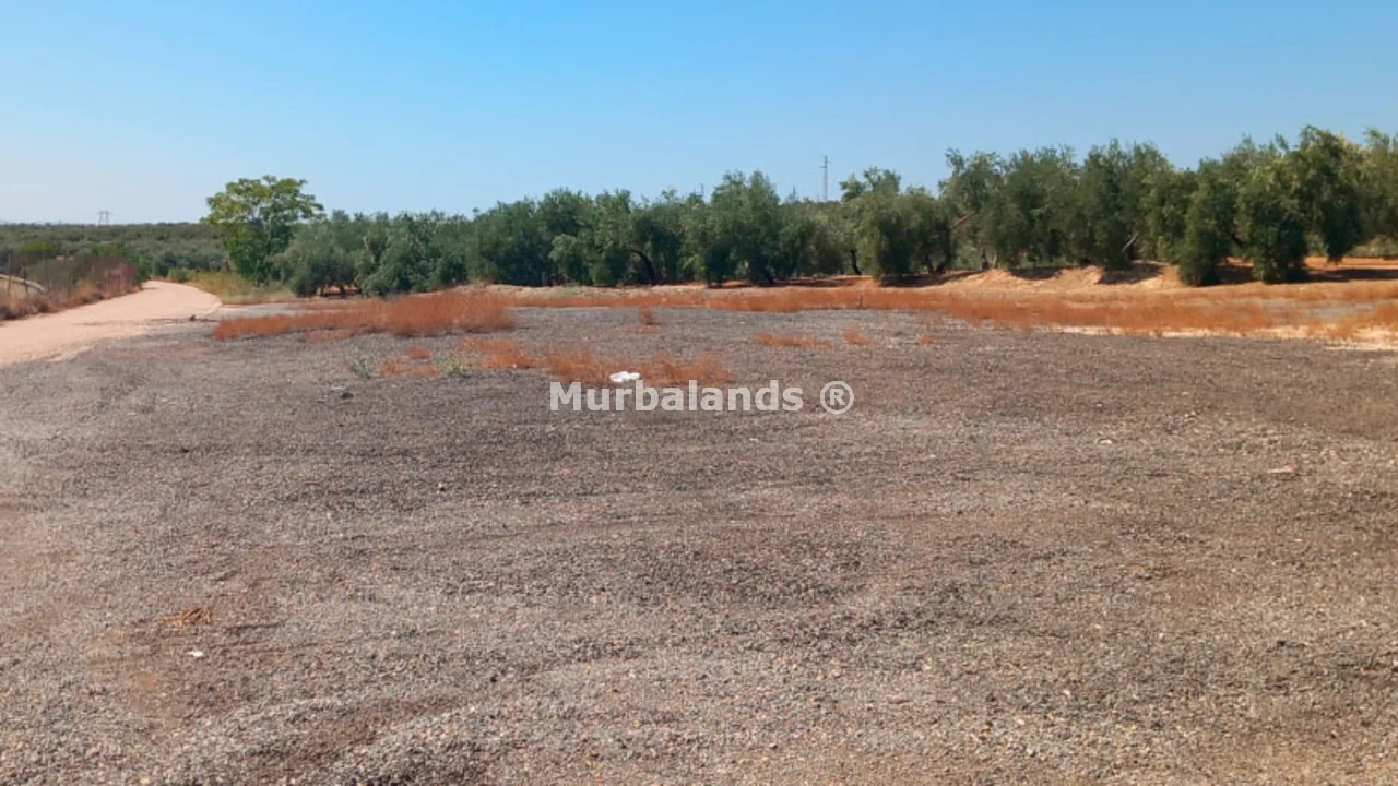 Foto de un terreno o una obra parada para mostrar en el detalle del inmueble