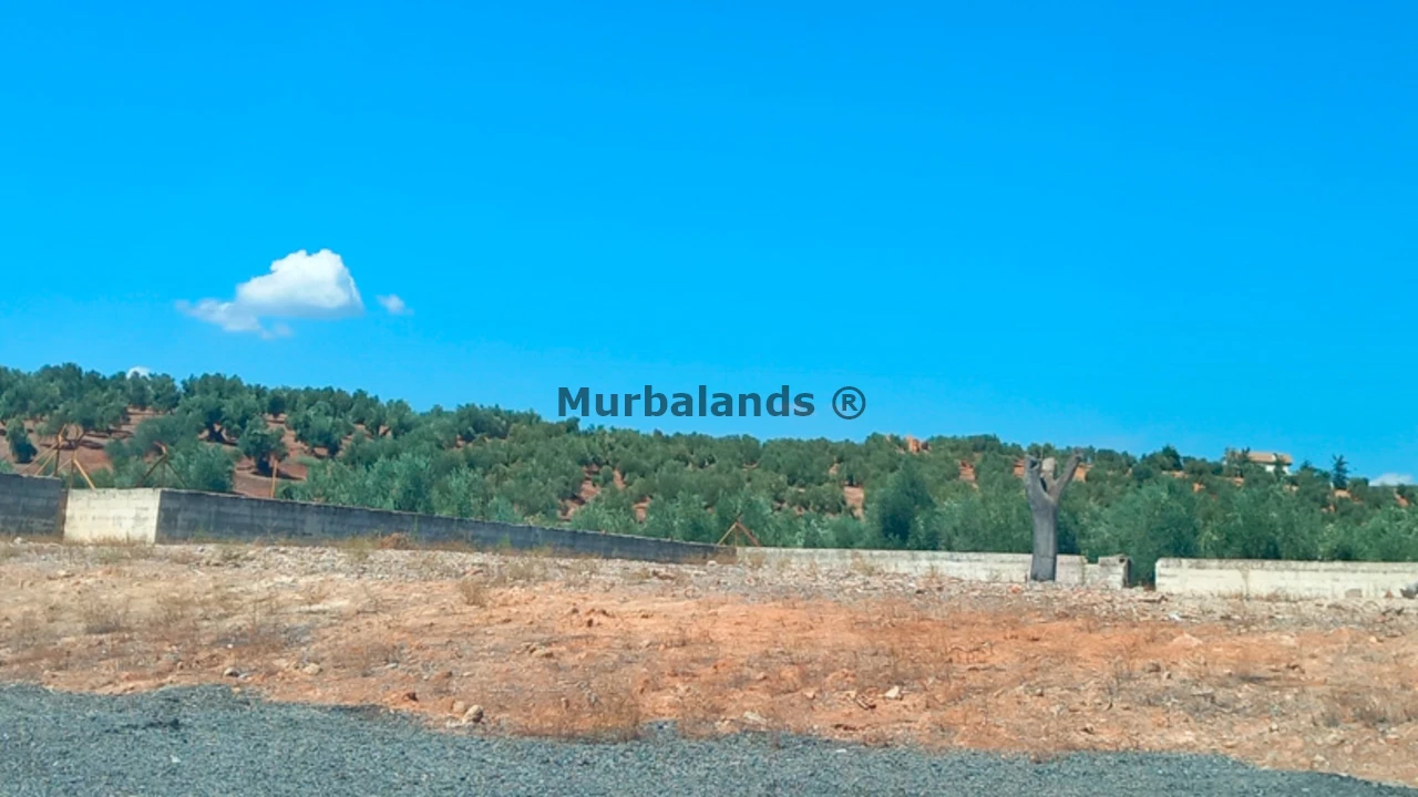 Foto de un terreno o una obra parada para mostrar en el detalle del inmueble