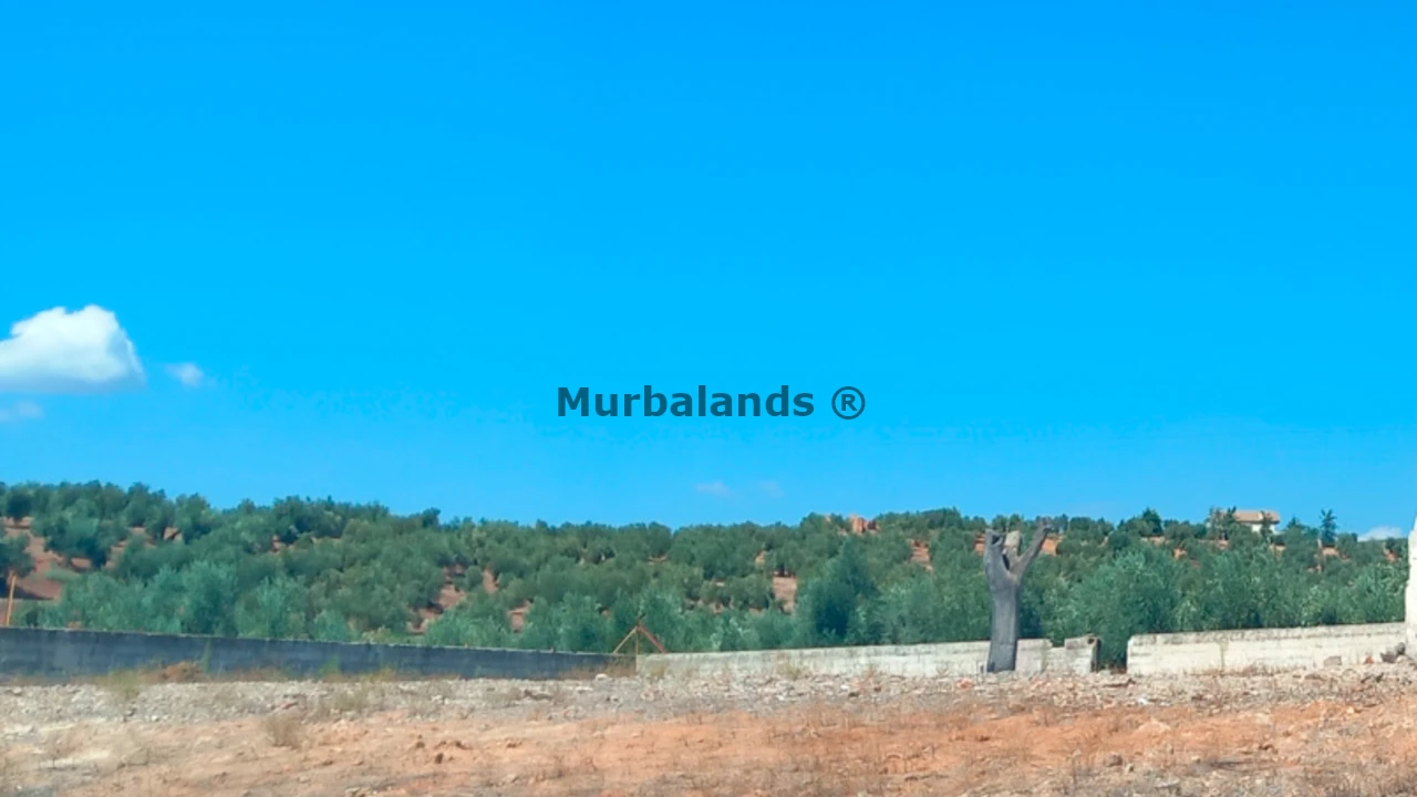 Foto de un terreno o una obra parada para mostrar en el detalle del inmueble