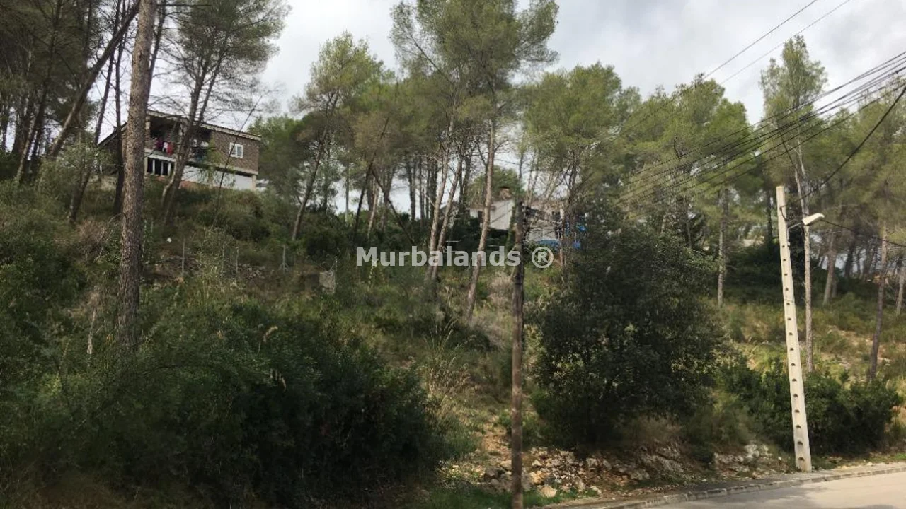 Terreno destacado