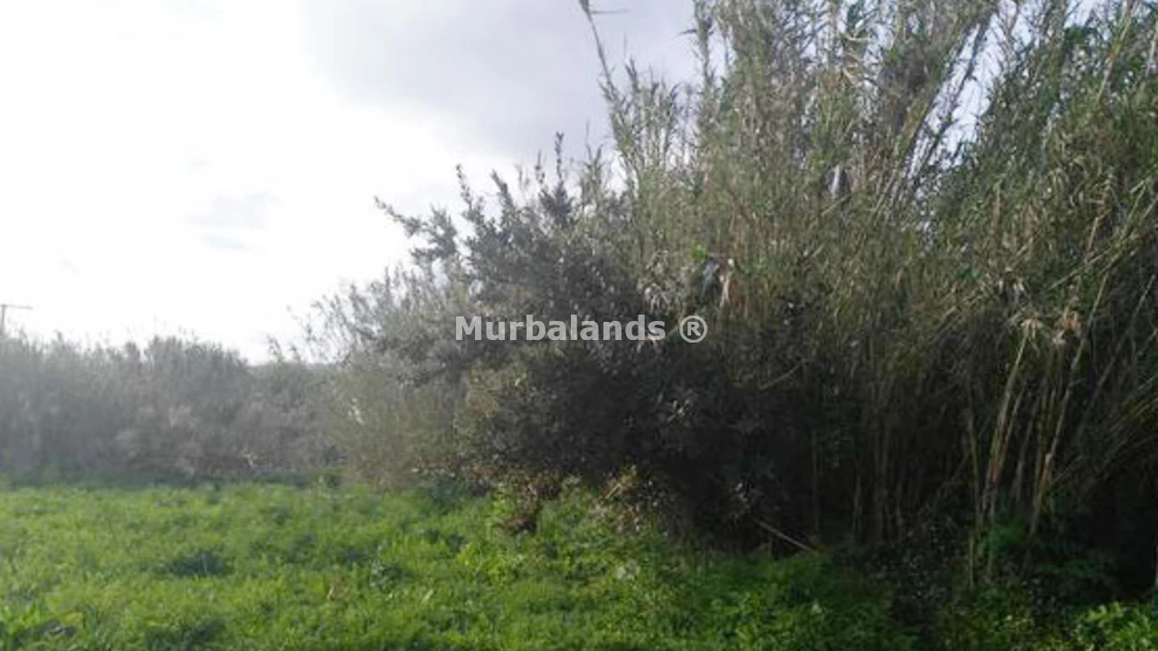 Foto de un terreno o una obra parada para mostrar en el detalle del inmueble