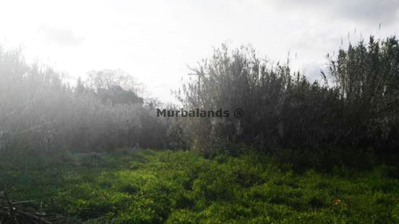 Foto de un terreno o una obra parada para mostrar en el detalle del inmueble