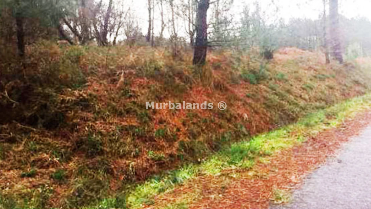 Foto de un terreno o una obra parada para mostrar en el detalle del inmueble