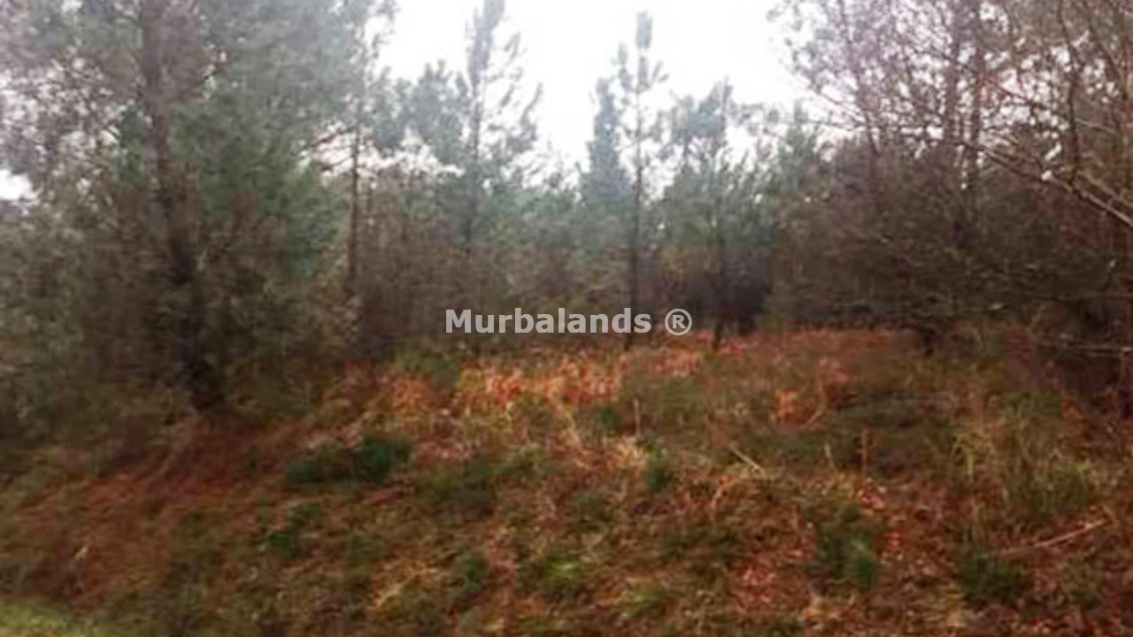 Foto de un terreno o una obra parada para mostrar en el detalle del inmueble