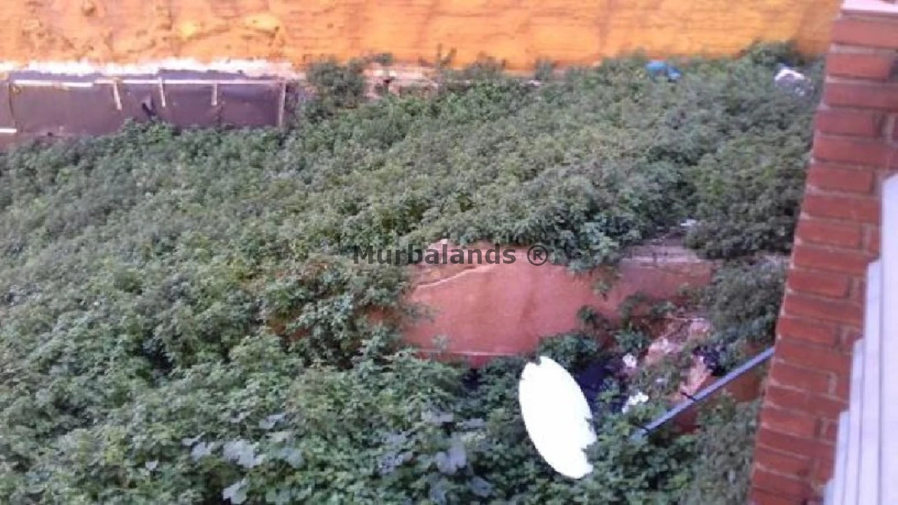 Foto de un terreno o una obra parada para mostrar en el detalle del inmueble