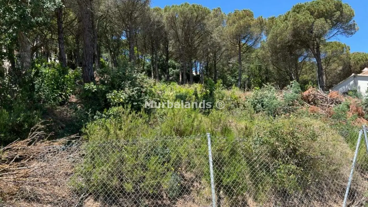 Terreno destacado