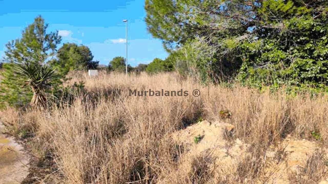Foto de un terreno o una obra parada para mostrar en el detalle del inmueble