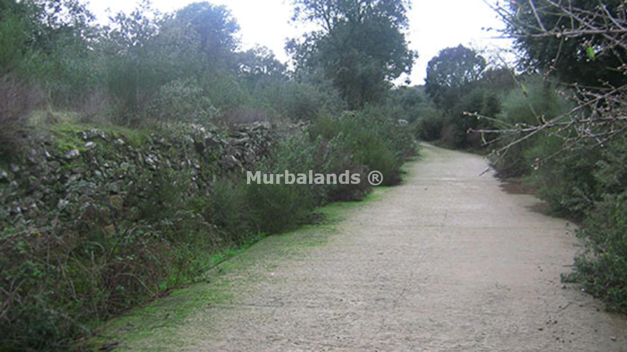 Foto del anuncio Ref. 00005440