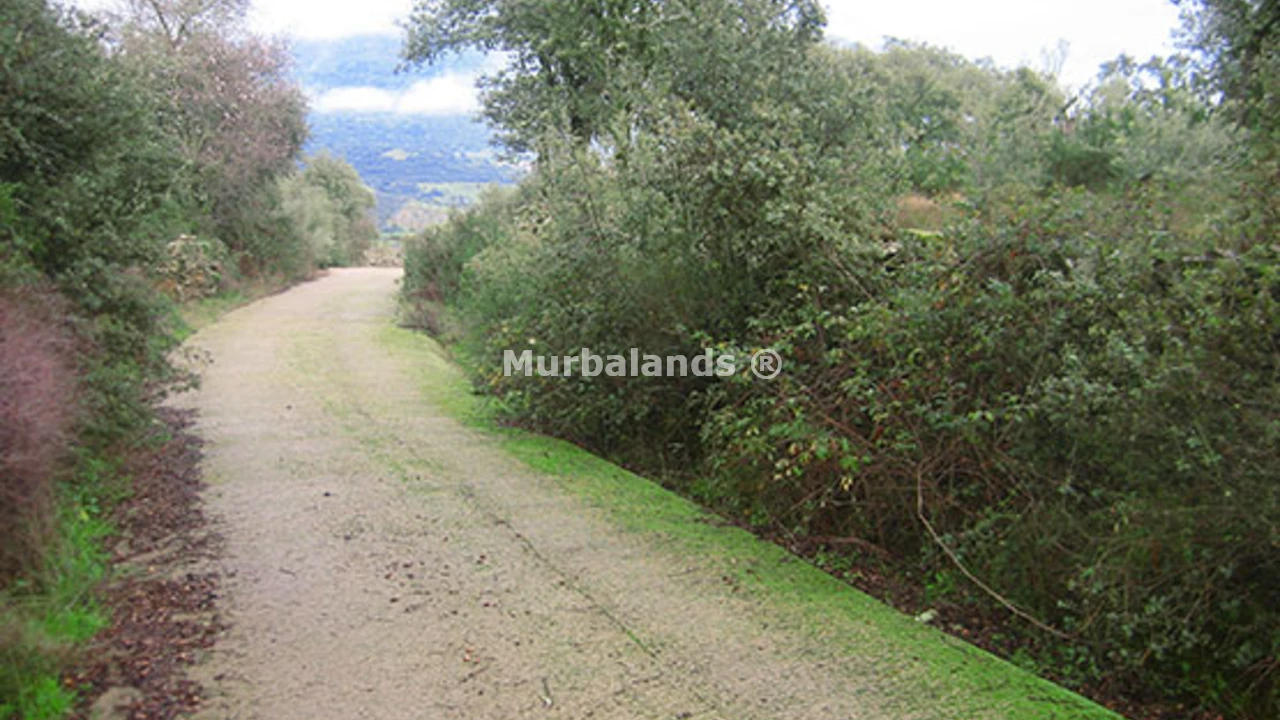 Foto del anuncio Ref. 00005440