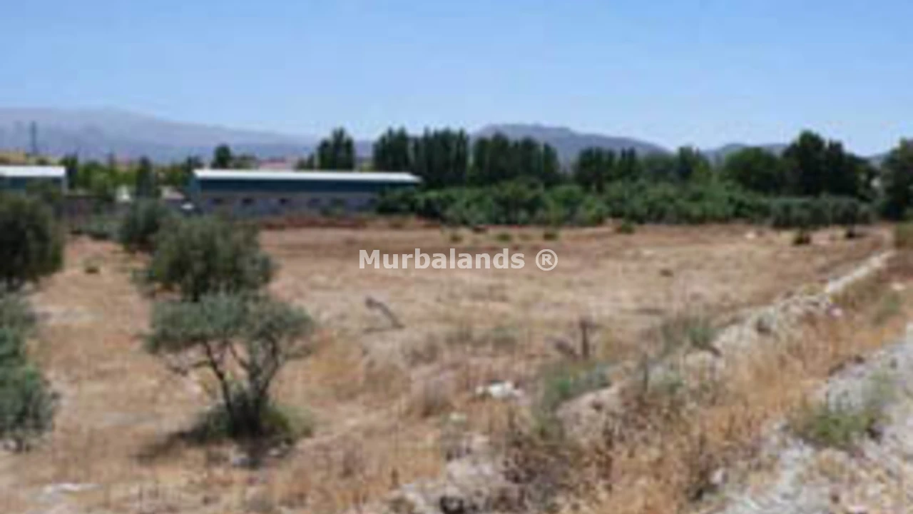 Foto de un terreno o una obra parada para mostrar en el detalle del inmueble