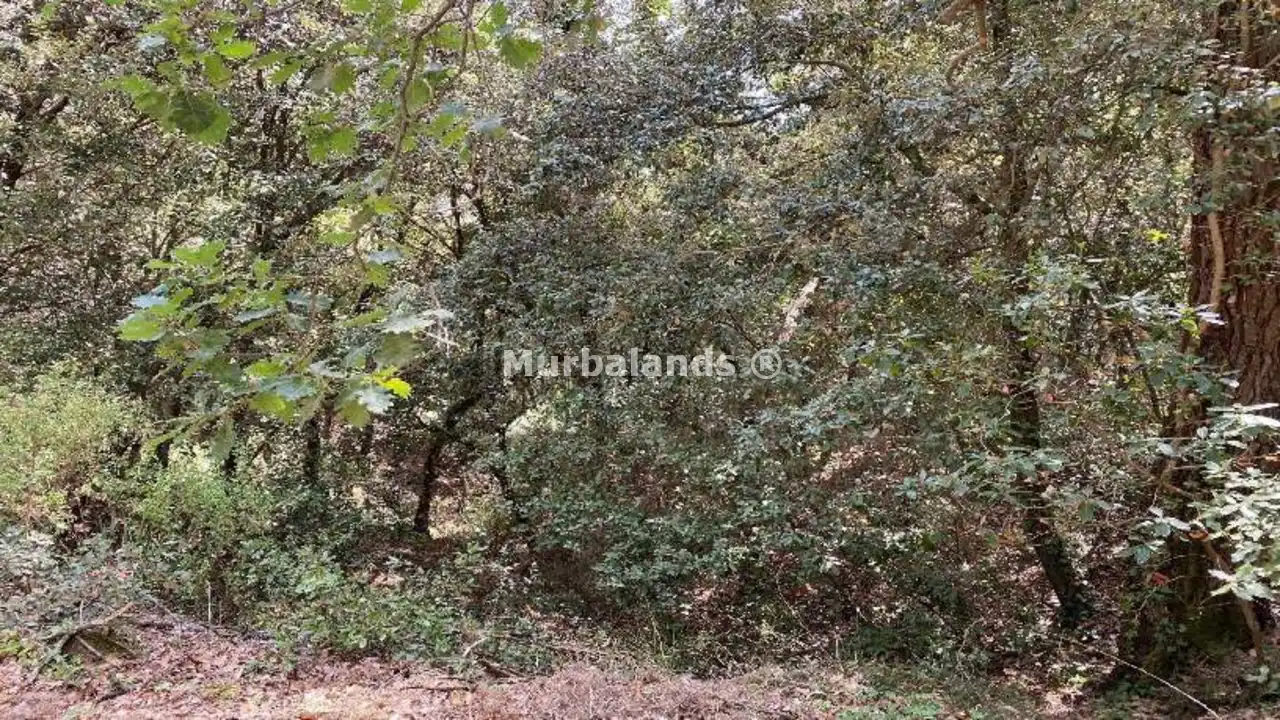 Terreno destacado
