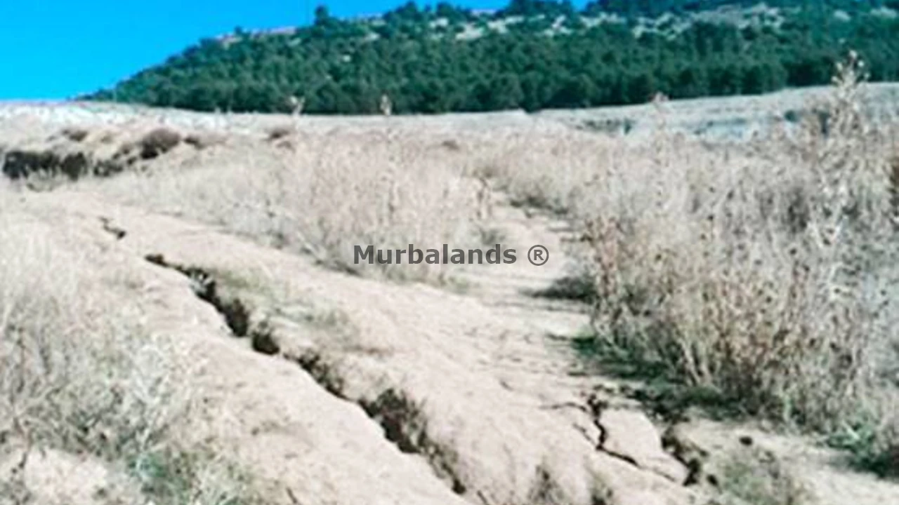 Foto de un terreno o una obra parada para mostrar en el detalle del inmueble