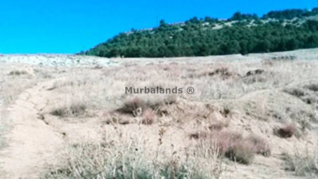 Foto de un terreno o una obra parada para mostrar en el detalle del inmueble