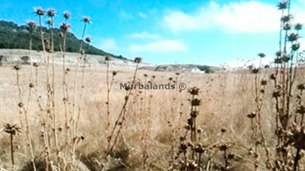 Foto de un terreno o una obra parada para mostrar en el detalle del inmueble