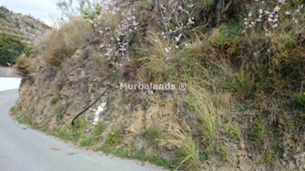 Foto de un terreno o una obra parada para mostrar en el detalle del inmueble