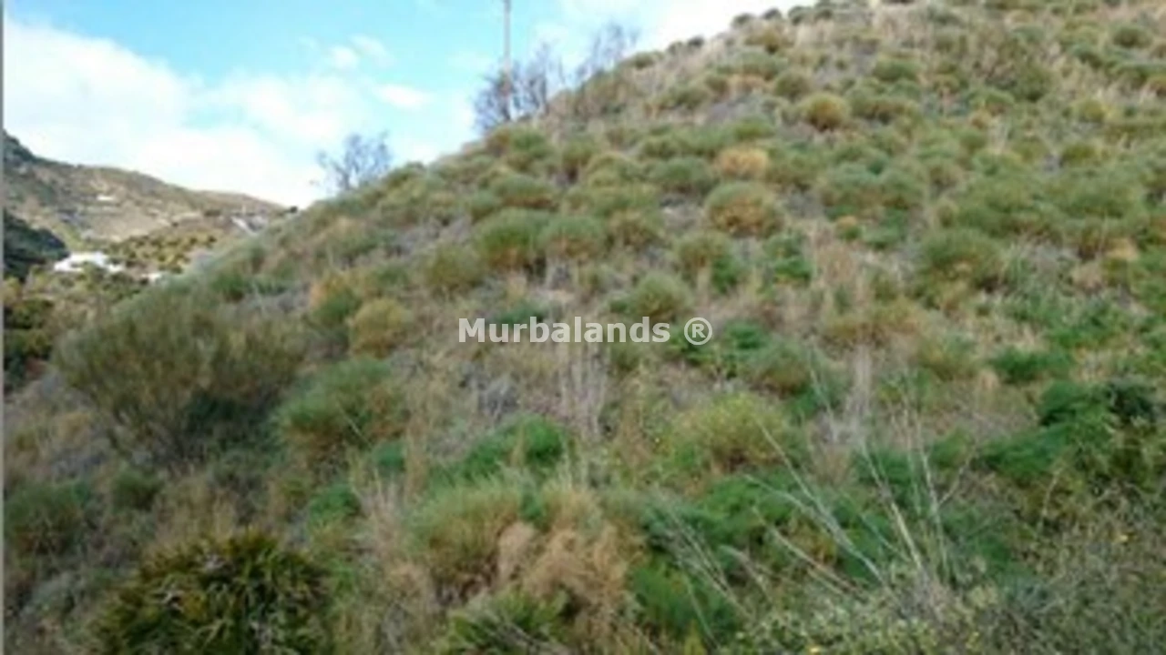 Foto de un terreno o una obra parada para mostrar en el detalle del inmueble