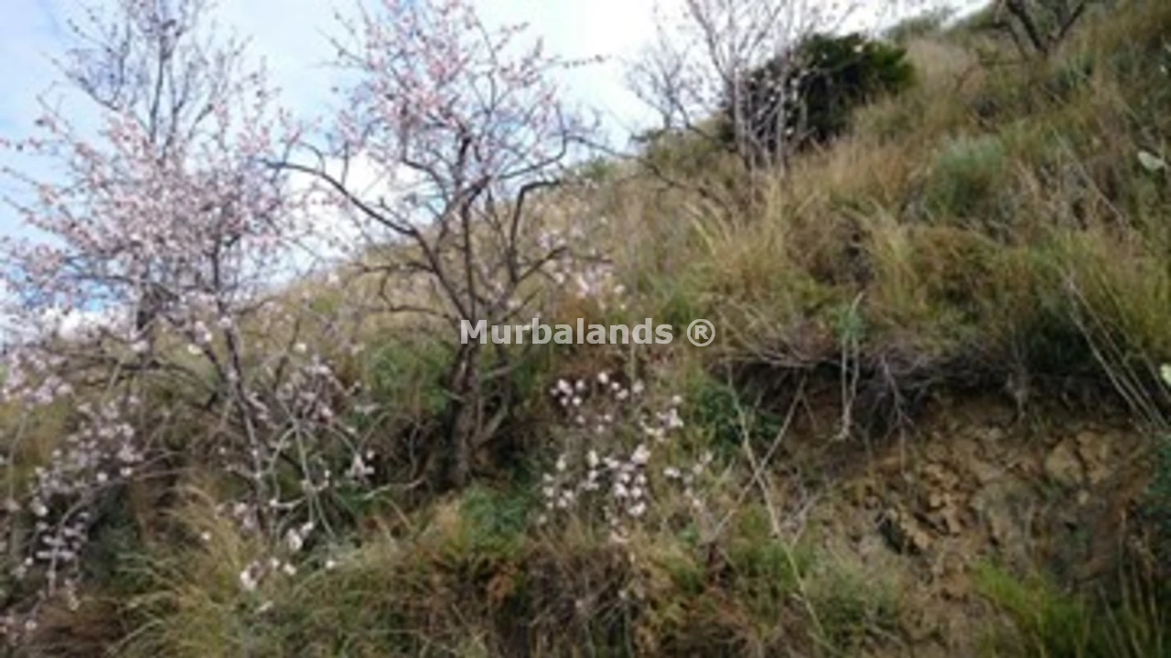 Foto de un terreno o una obra parada para mostrar en el detalle del inmueble