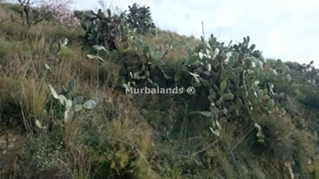 Foto de un terreno o una obra parada para mostrar en el detalle del inmueble