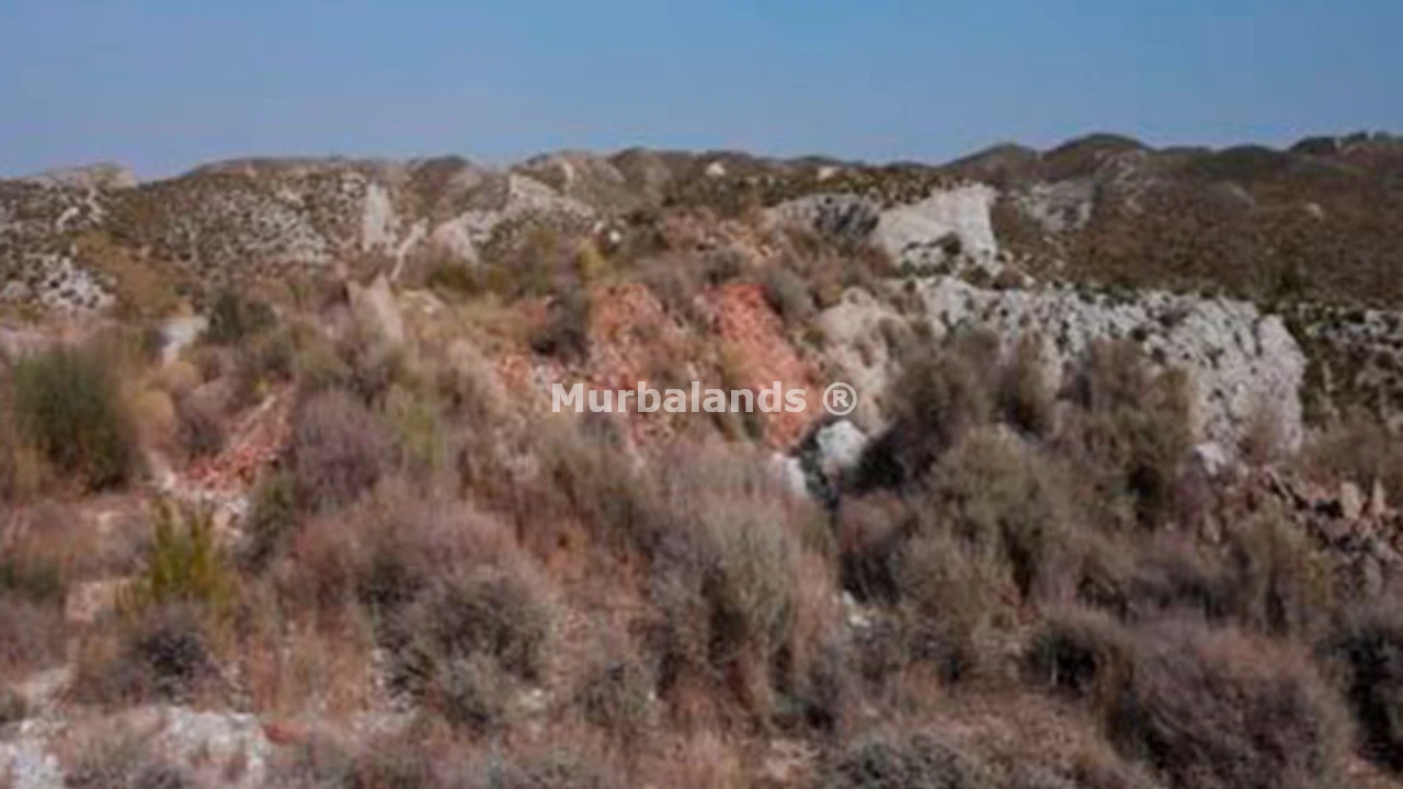 Foto de un terreno o una obra parada para mostrar en el detalle del inmueble