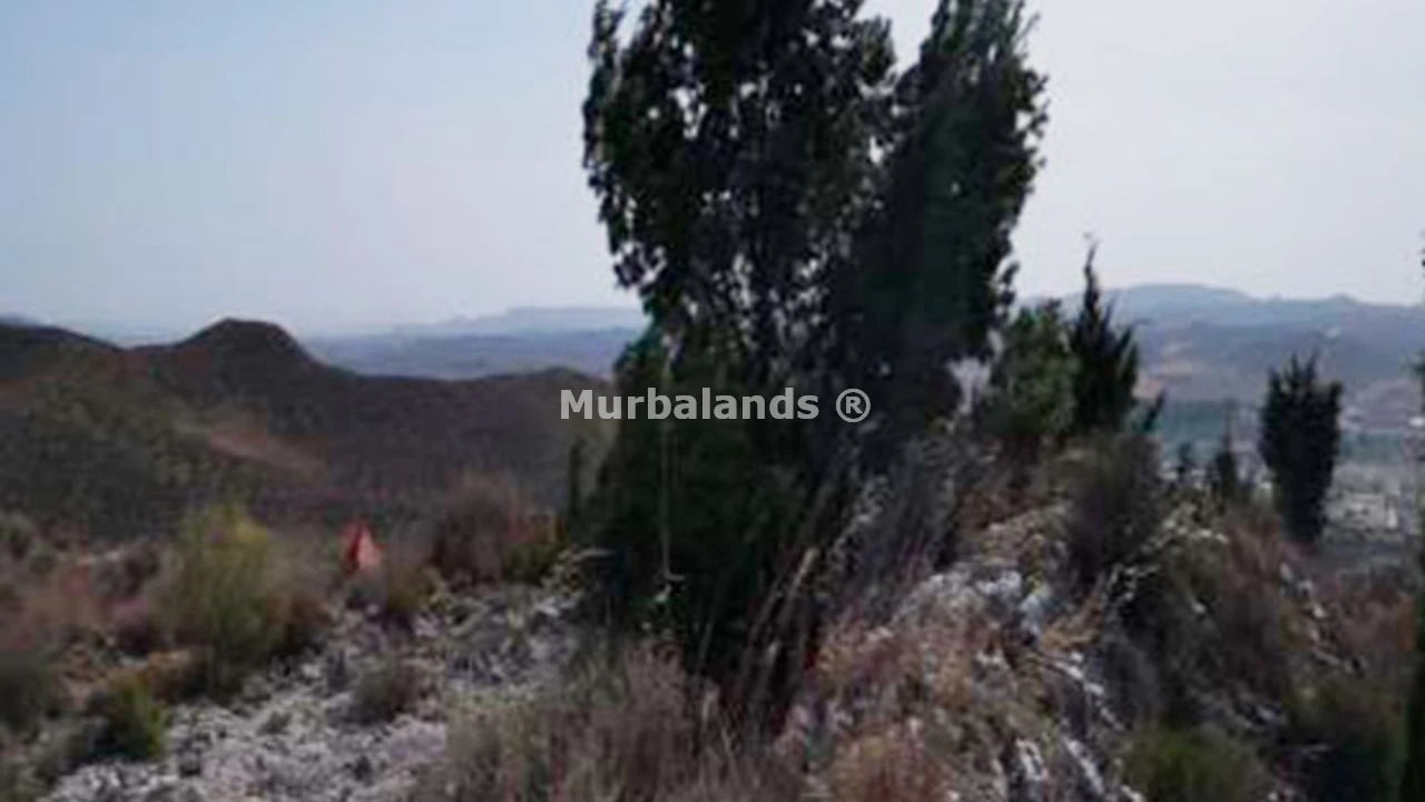 Foto de un terreno o una obra parada para mostrar en el detalle del inmueble