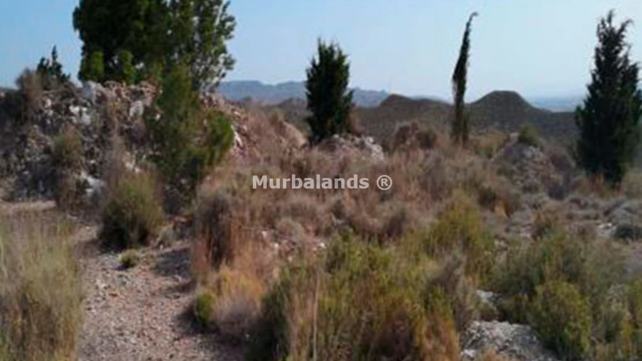 Foto de un terreno o una obra parada para mostrar en el detalle del inmueble