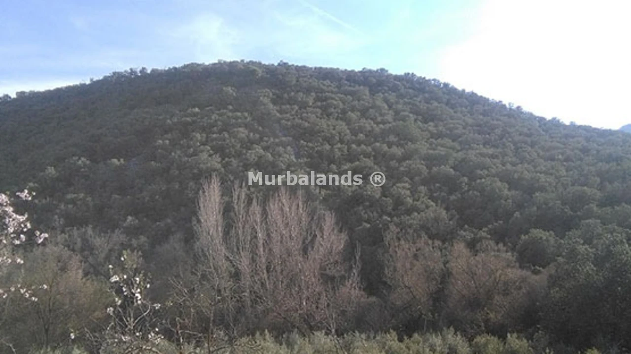Foto 4 del terreno Ref. 00003264