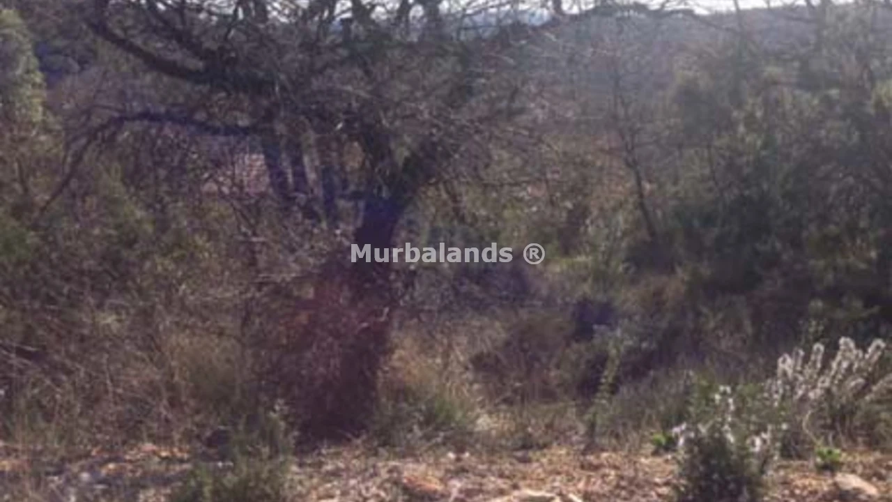 Foto de un terreno o una obra parada para mostrar en el detalle del inmueble