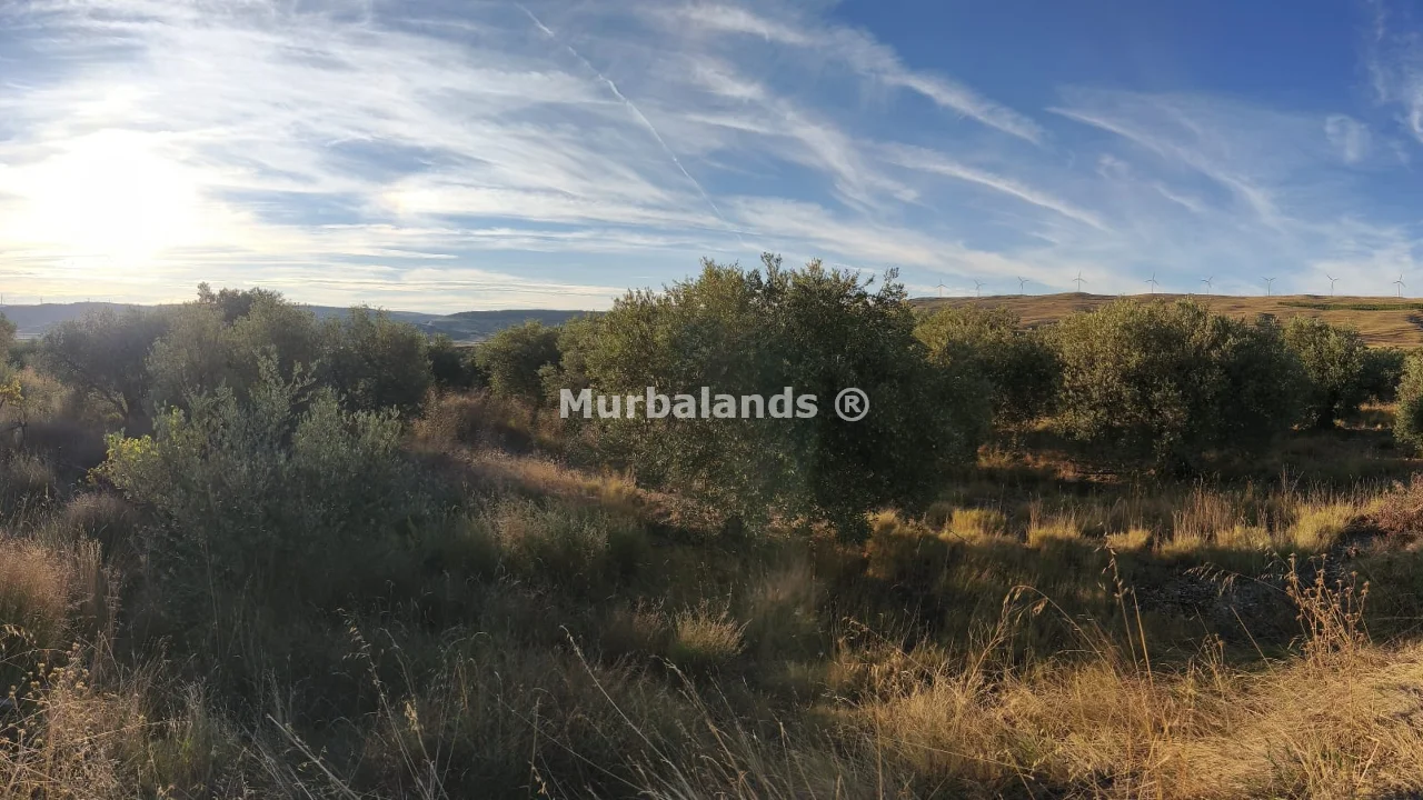 Foto del anuncio Ref. 00005232