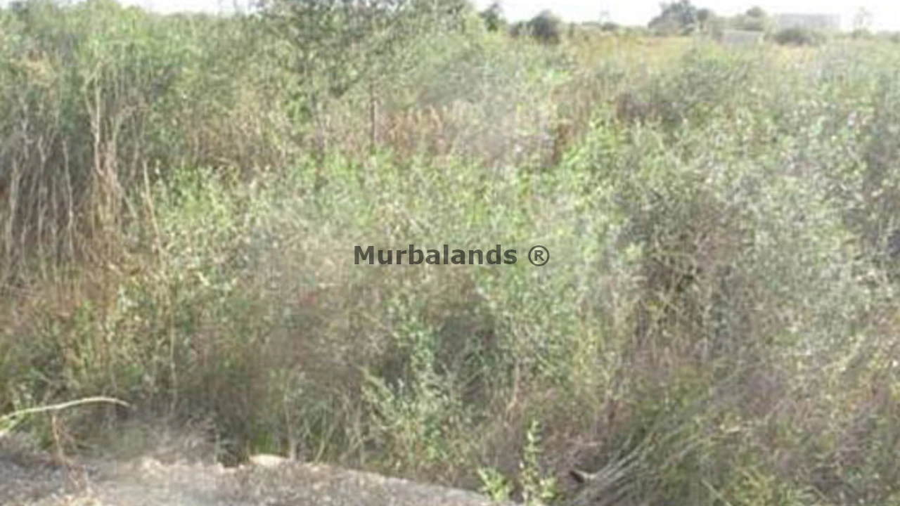Foto de un terreno o una obra parada para mostrar en el detalle del inmueble