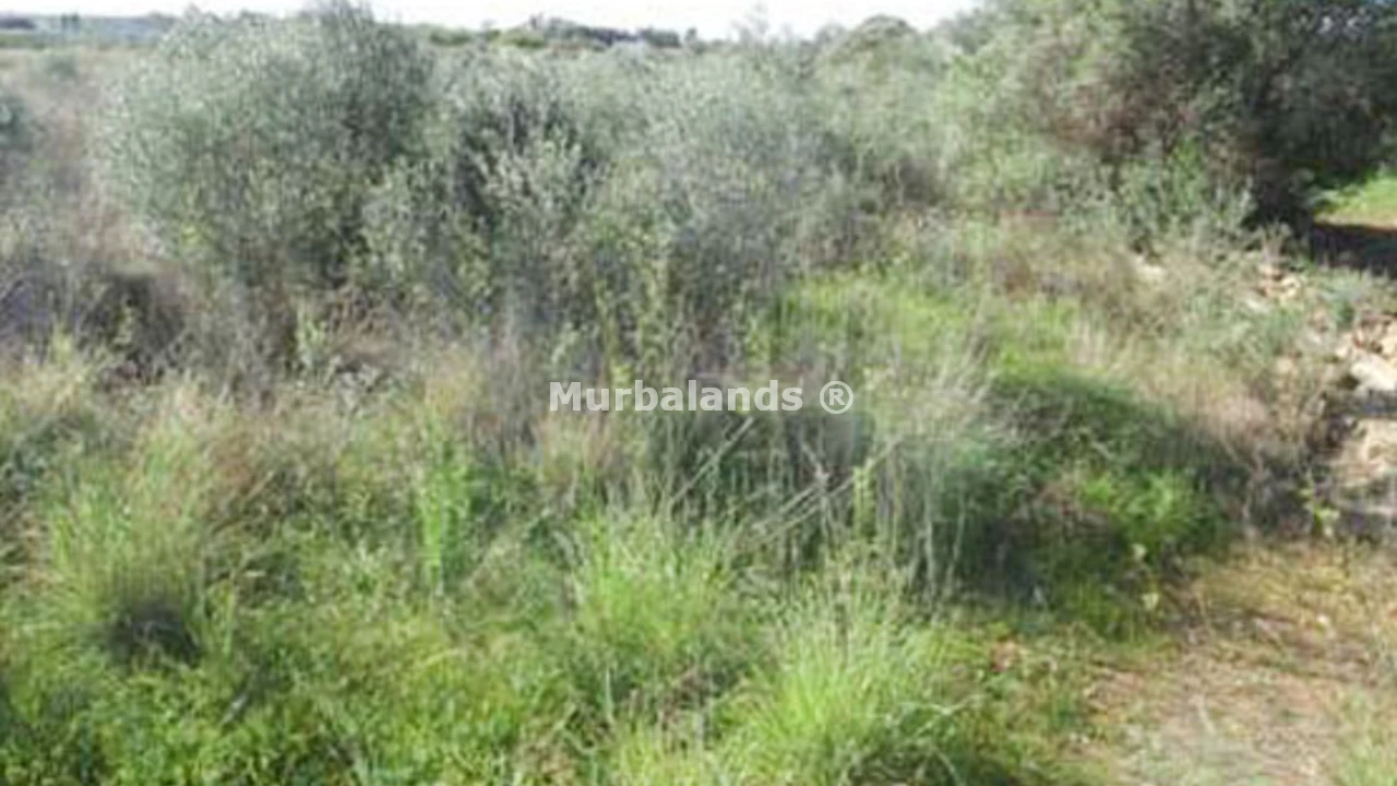 Foto de un terreno o una obra parada para mostrar en el detalle del inmueble