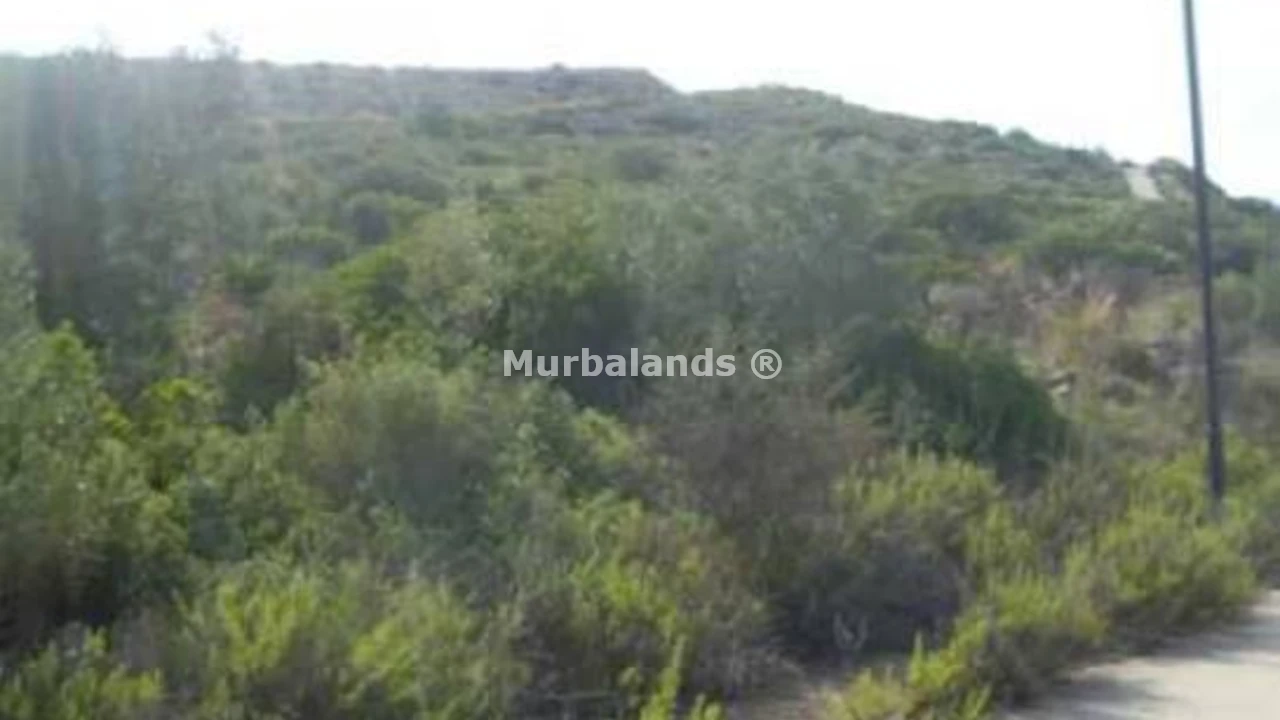 Foto de un terreno o una obra parada para mostrar en el detalle del inmueble