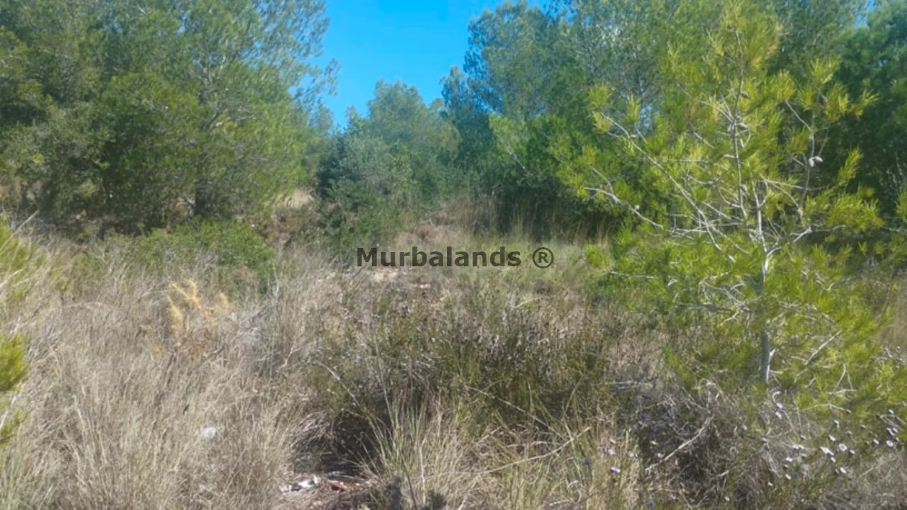 Foto de un terreno o una obra parada para mostrar en el detalle del inmueble
