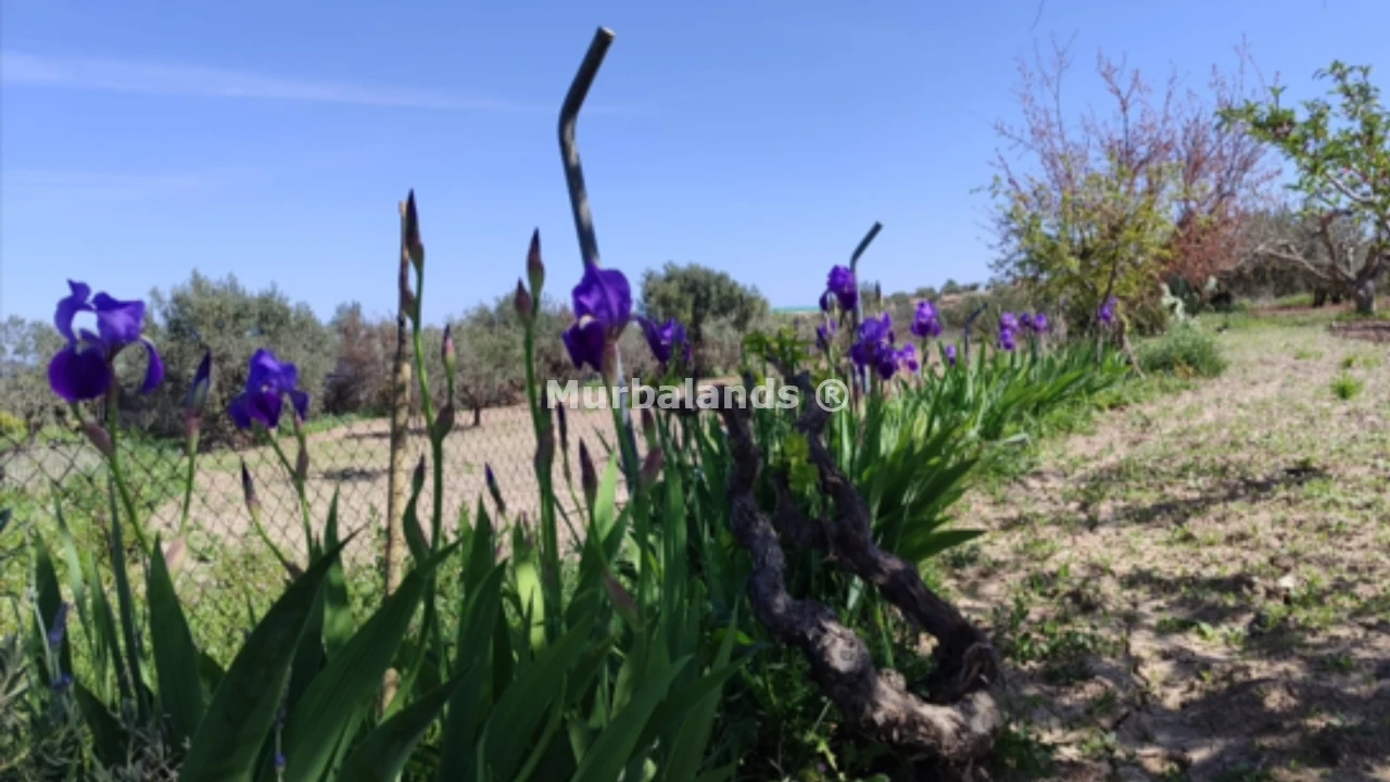 Foto del anuncio Ref. 00005187