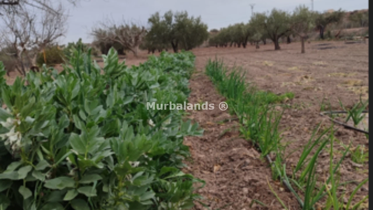 Foto del anuncio Ref. 00005187