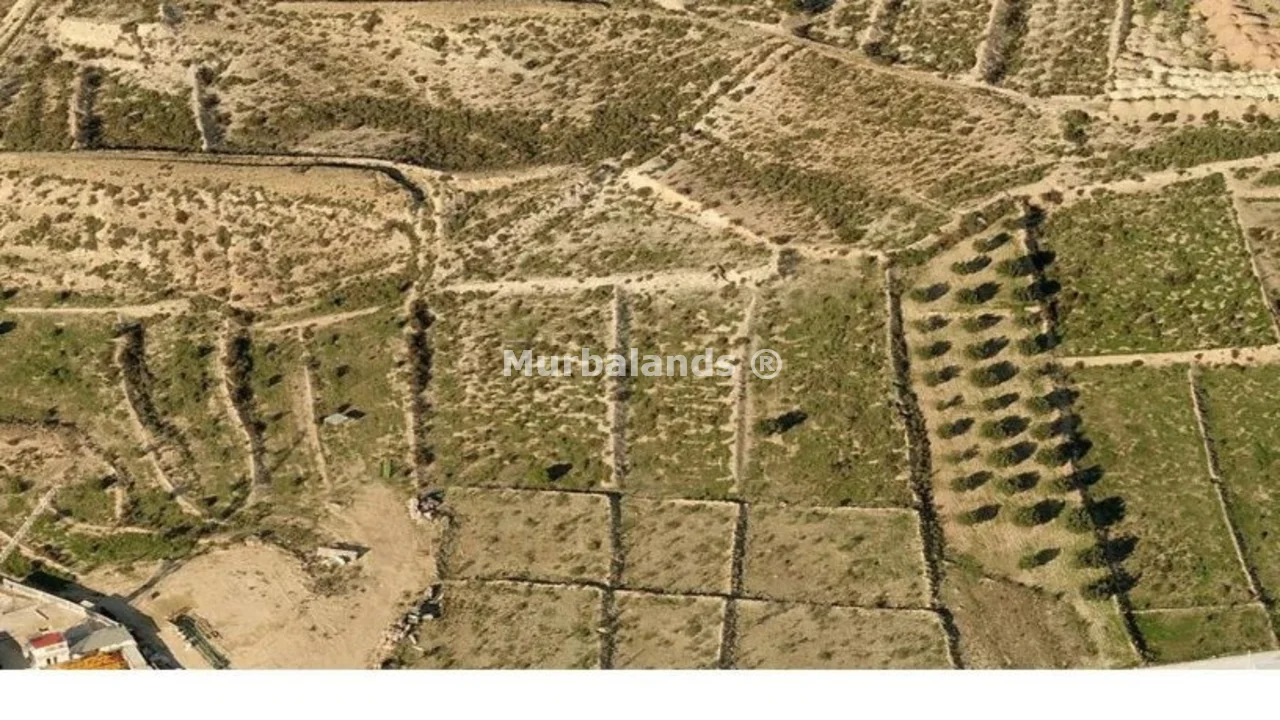 Terreno destacado