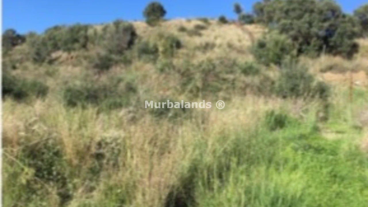 Terreno destacado