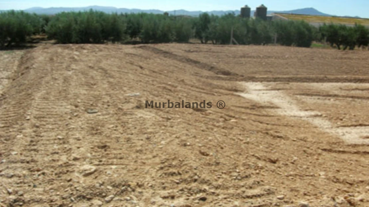 Foto de un terreno o una obra parada para mostrar en el detalle del inmueble