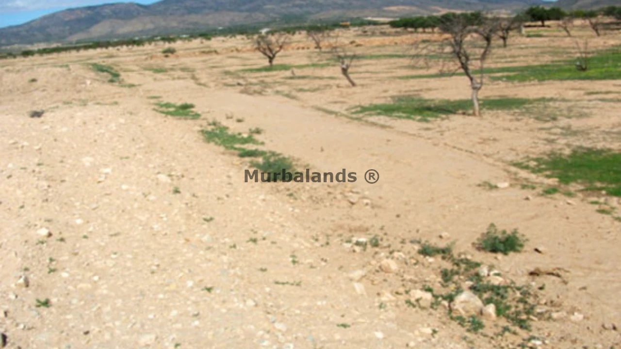 Foto de un terreno o una obra parada para mostrar en el detalle del inmueble